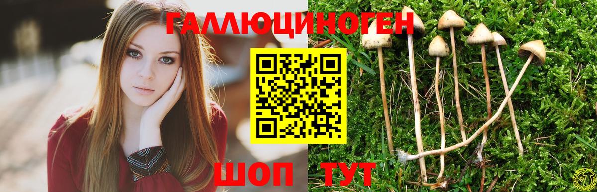 Находка  Псилоцибиновые грибы MAGIC MUSHROOMS  Вход с VPN  Псилоцибиновые грибы GOLDEN TEACHER 